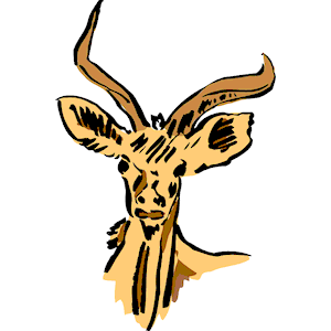 Antelope 09