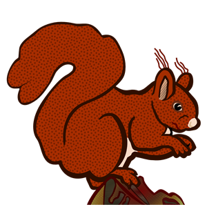 squirrel - coloured