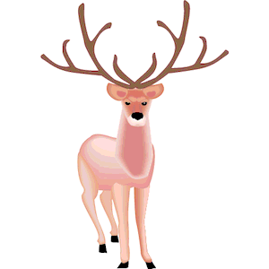 Deer 33