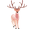 Deer 33