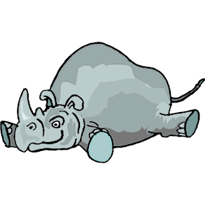 Rhino Stomach