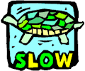 Turtle Slow