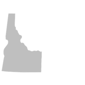 Idaho Shape - Gray