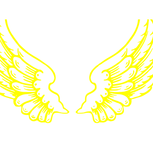 Yellow Falcon Wings
