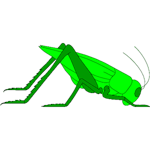 Grasshopper clipart, cliparts of Grasshopper free download (wmf, eps