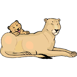 Lioness Cub