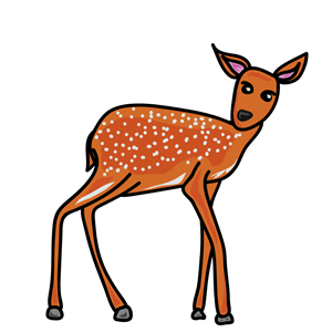 Deer Brown
