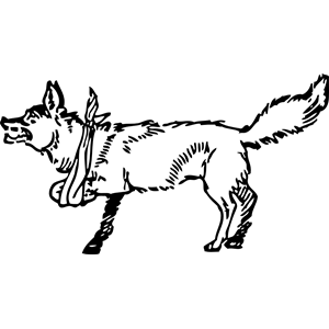lame fox