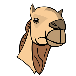 camel head 01