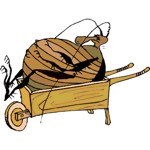 Flea in Wheelbarrow