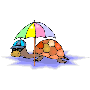 Turtle Under The Shade Of An Umbrella 