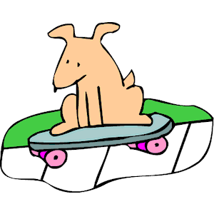 Dog on Skateboard