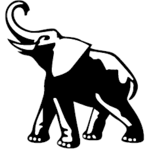 Elephant 07