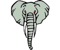 Elephant - Head 2