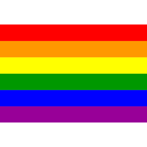 gay pride flag kimiko r