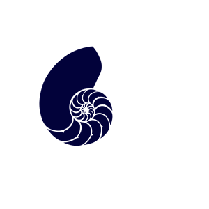 Blue Nautilus Shell