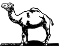 Simple Camel