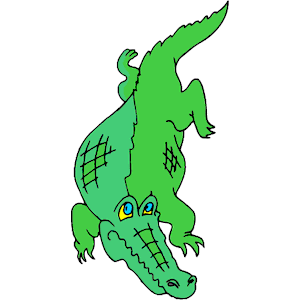Alligator 17