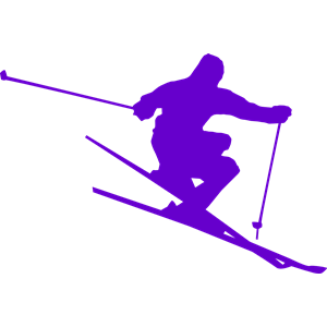 Perfect Ski Form