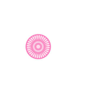 Pink Flower Circle