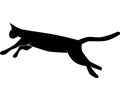 Leaping cat