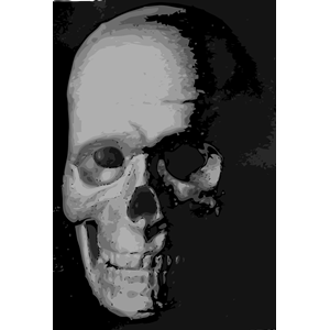 Skull 8c