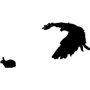 Falcon and Rabbit