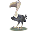 Vulture 05