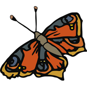 farfalla butterfly fra1