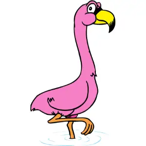 Flamingo Clipart