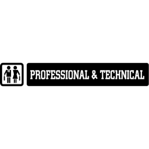 Professional & Technical