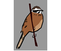 Bird 03(meadow-bunting)