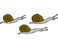 3 snails