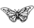 Hand Drawn Butterfly Silhouette