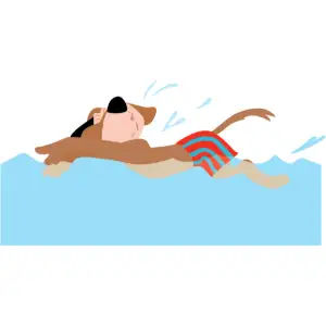 Dog Swimming Clipart
