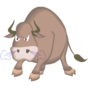 Bull Angry-1