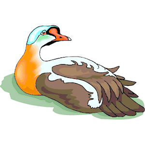 Goose 18