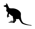 Kangaroo contour