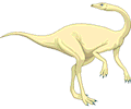 Dinornis 15