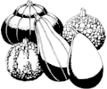 Gourds - Decorative