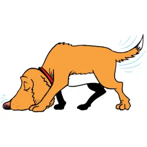 Dog Sniffing  Clipart