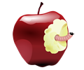 apple with worm  dan gerh 01