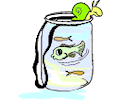Fish in Jar