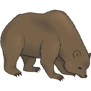 Bear Clipart