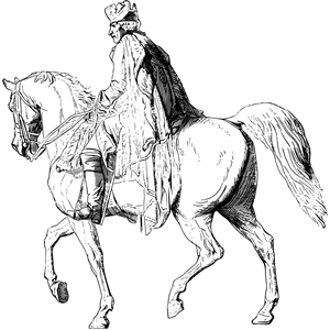 Horse and rider 3