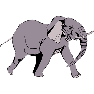 elefante in corsa