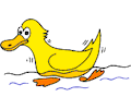 Duck 015