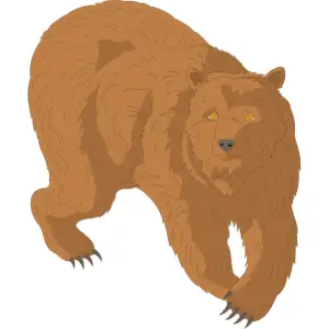 Bear Clipart