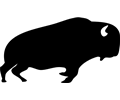 Black and White Bison Icon