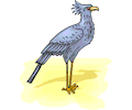 Secratery Bird